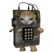 RedTigerMasters BRO