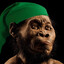 Missing Link