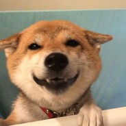 This road is not accessible