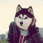 Красивая Хаска