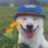 SikeFox