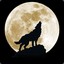 Nightwolf613