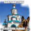 СКОРЛУПА ЕБАНАЯ