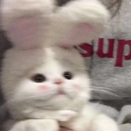 丿樱花依旧丶烂漫