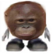 Ape