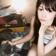 kt猫痛扁黑心小狗