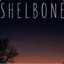 Shelbone