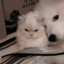 Luuuuucy