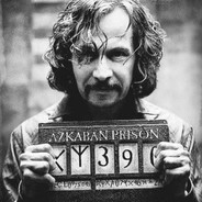 猫粮一口不够吃