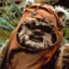 Ewok cshő