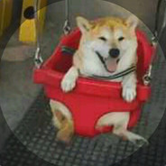 李奶奶丶还给我