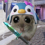pätti.m1 avatar