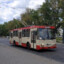 крутой кот в арбу
