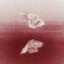 Rrrrr.healing's avatar