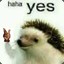 BOJAQ