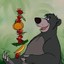 aPolaroidBear