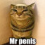 Mr.penis
