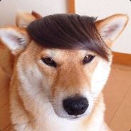 侠之大者为国接盘