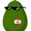 Avocado Commander