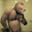 KING_KONG#TEAMMAŁPY