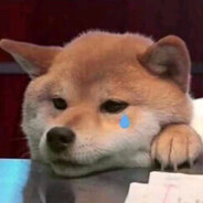 山大王叫我来巡山