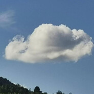 伯乐看了都说好马