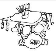 乱红飞过秋千去