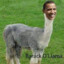 Barack O&#039;lama