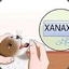 XanMan