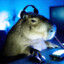 Capybara gaming