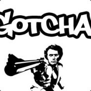 g0tcha-