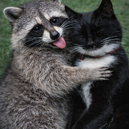 Szopki Martynka skins.army