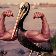 Профессор Пеликан