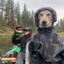 ПЁС