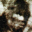 Freeman