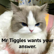 Mr Tiggles