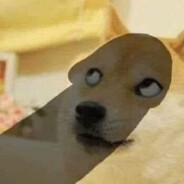 Doge avatar