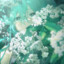 水木清华 slow