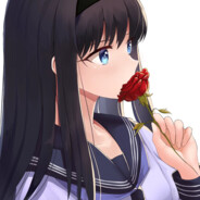 盛开的黑色蔷薇