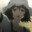 Mayushii☆