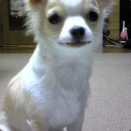 roichi