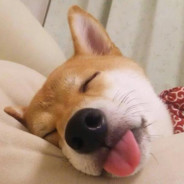 魔法少女郭敬明