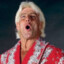 Ric Flair