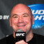 dana white