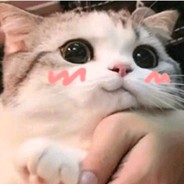 Watch my kingdom fall