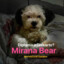 DogFood_Or_Diskarte