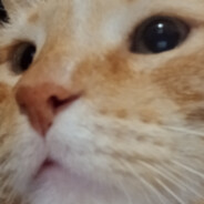 Tommy_Blackwell(黒井富田)