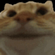 ????????????????????????