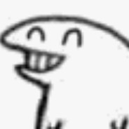 budong