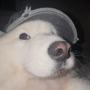 faneko